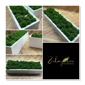 Zielony Las Artystyczne Dekoracje